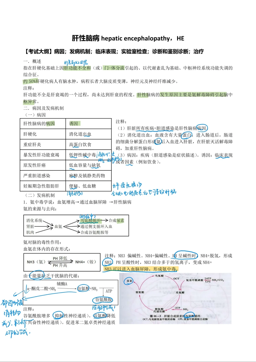 内科学-肝性脑病+原发性肝癌