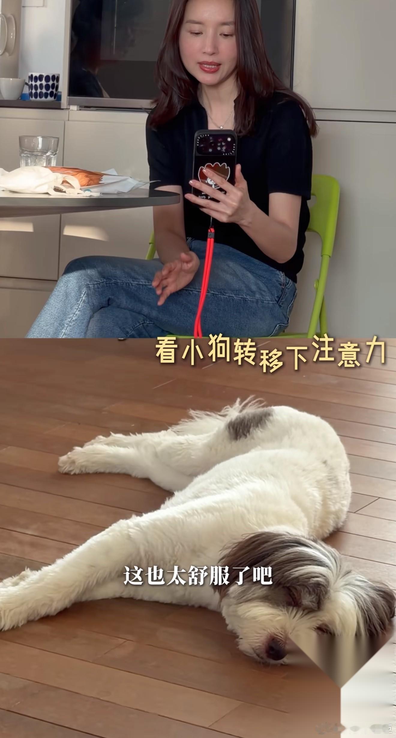 董洁，引发热议。 8月7日，46岁的董洁，冲上热搜，这一次，不是因为儿子顶顶，而