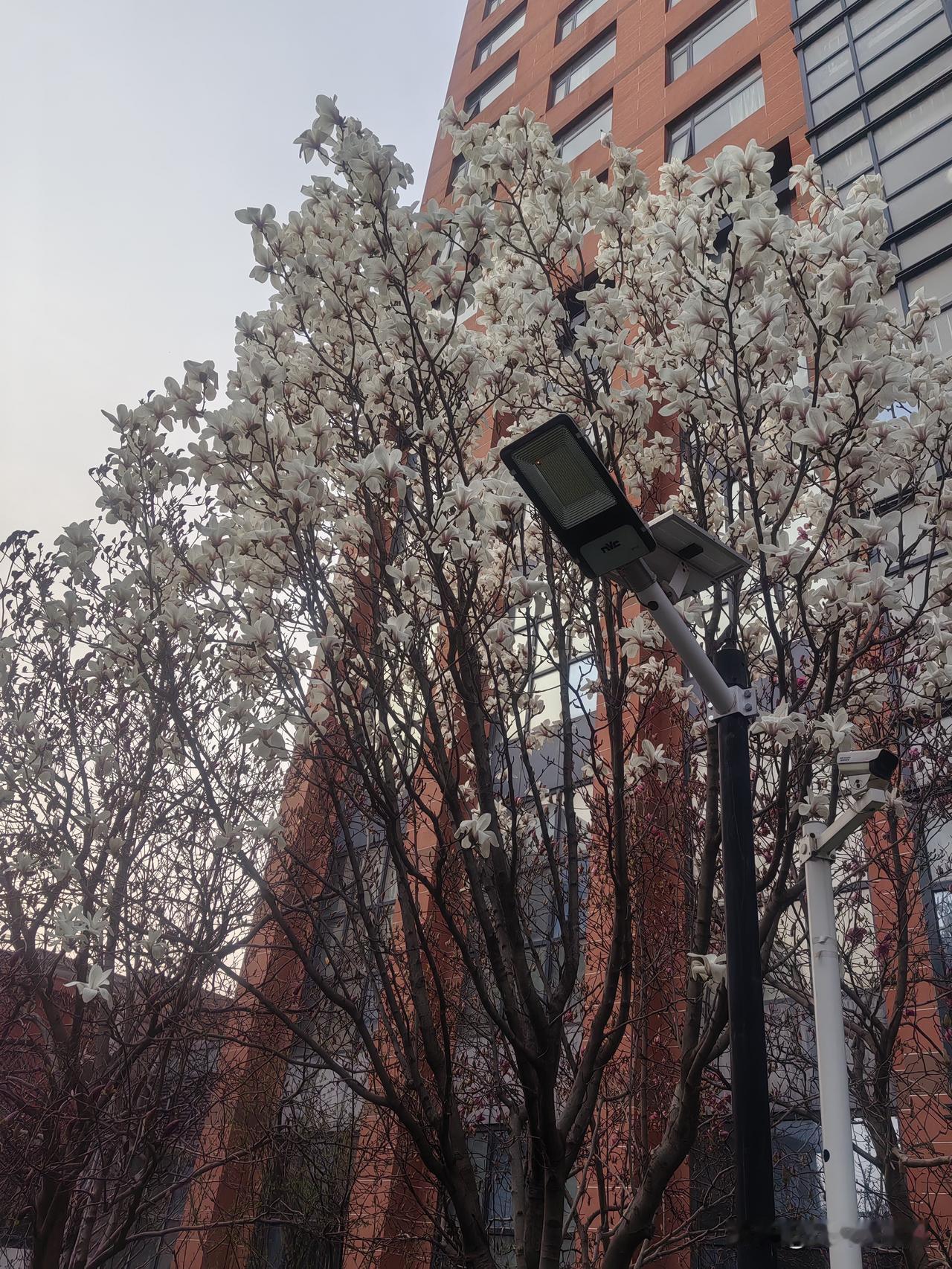 时间在走，年龄在长，懂得多了，看透的多了，快乐的也越来越少了。不得不承认时间改变