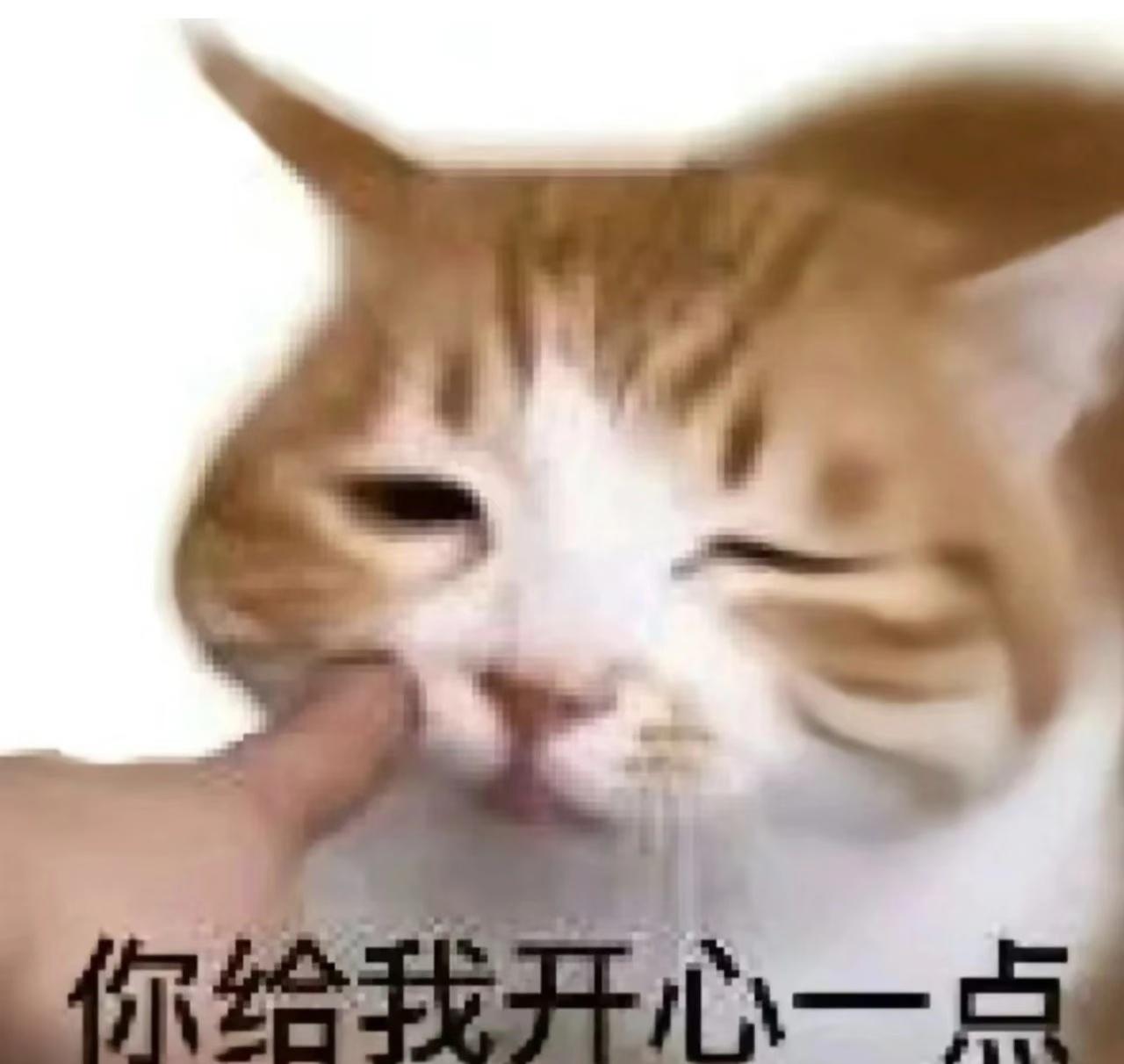 [奥特曼]小泸今日提醒：验证码是保障账户安全的重要防线，无论何时何地，都不要将验