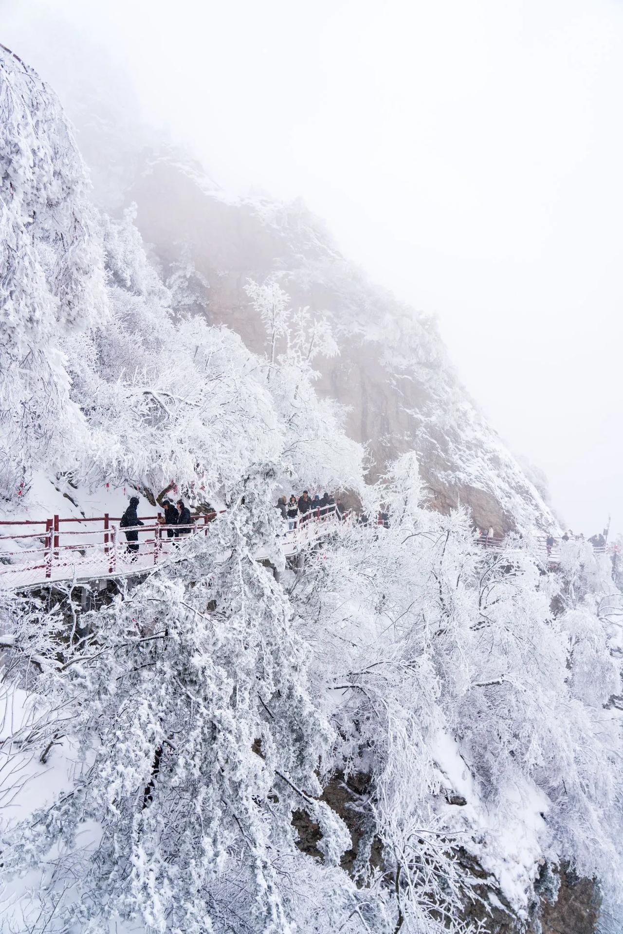 发一些你拍过的雪景河南老君山三月十五日，朋友登山，传来照片，她说美是美的，如在天