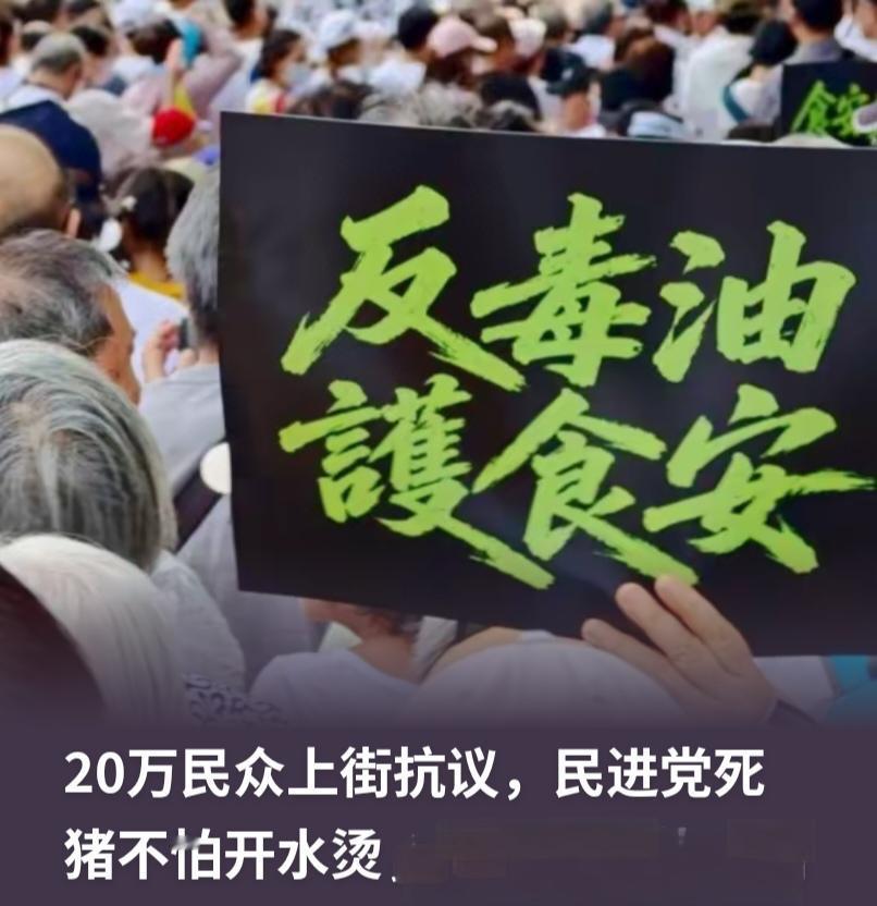毒油照吃，黑箱照搞，汉光断网连外卖都点不了——可20万人上街又怎样？在民进党的“