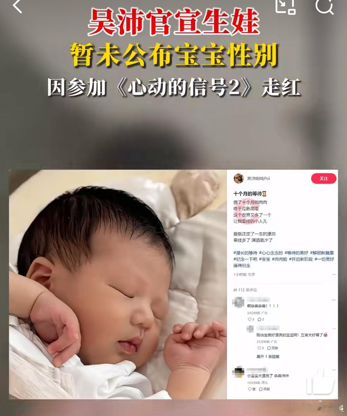 2025年11月12日，吴沛通过社交媒体正式宣布诞下宝宝，暂未公开性别，标志着正