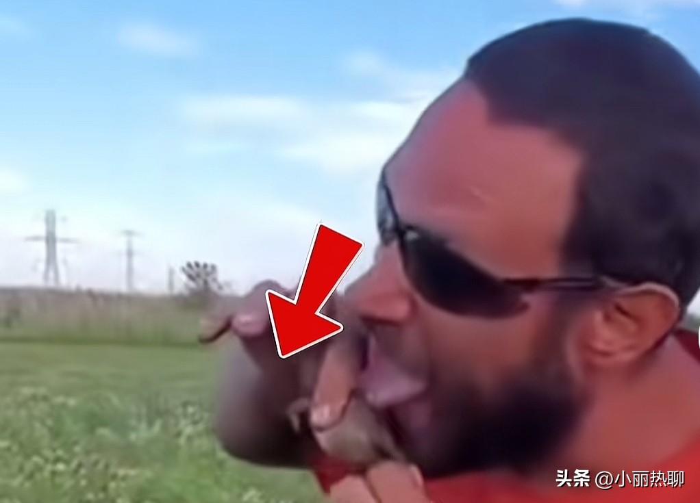 老美，这次你又“赢”了！
蛤蟆在美国快被舔到濒临灭绝！
对，你没有看错，不是吃到