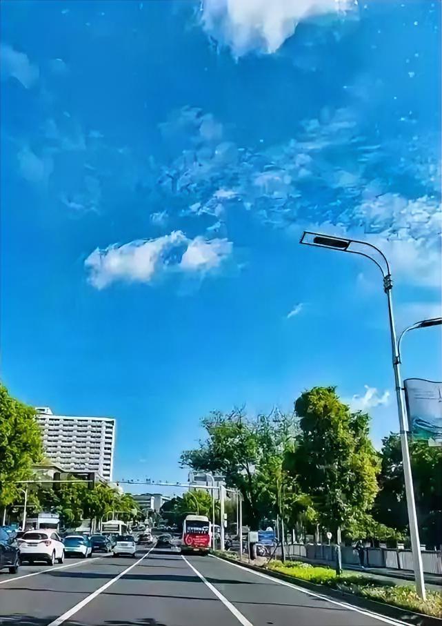通知一下，大家好有个心理准备，
今天，7月29日就正式进入中伏第五天了，而且今年