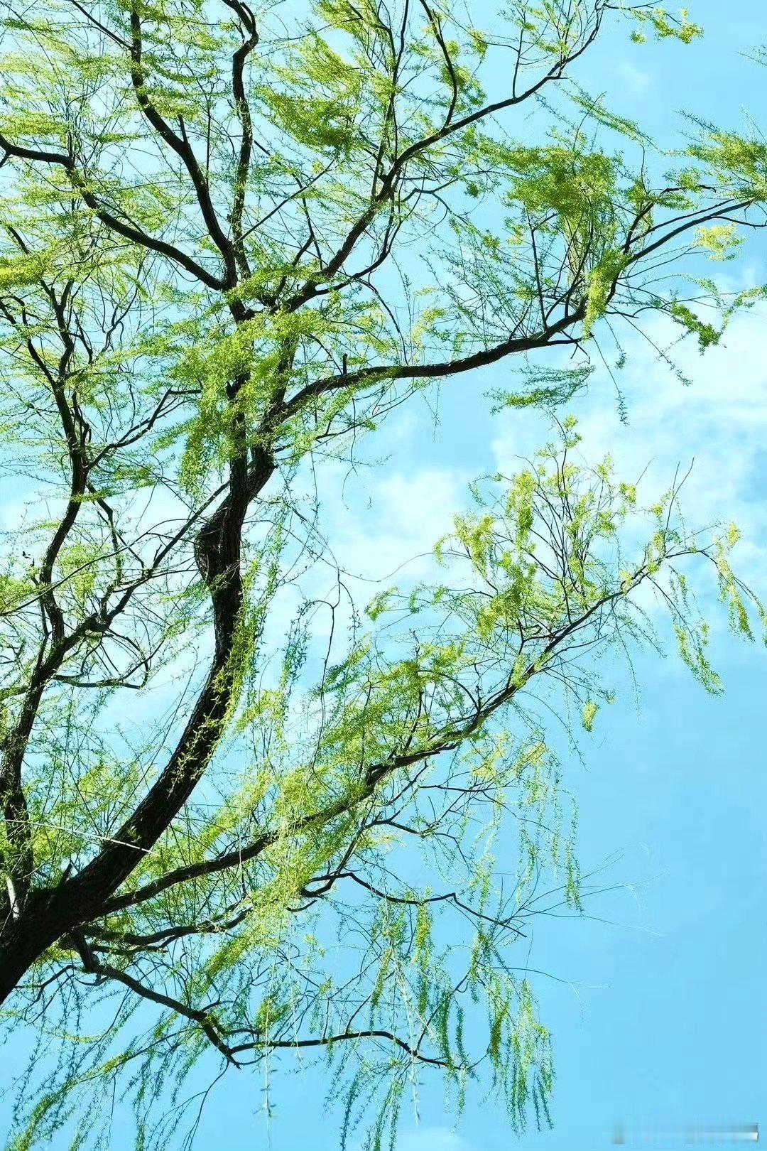 戒淫即是保元气。不食即是保元气。少说话即是保元气。不随外境转，即是保元气。丹道养