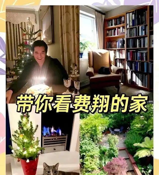 晚年独居只是幌子，65岁费翔被指家产过亿，竟沦为亲戚们的提款机 