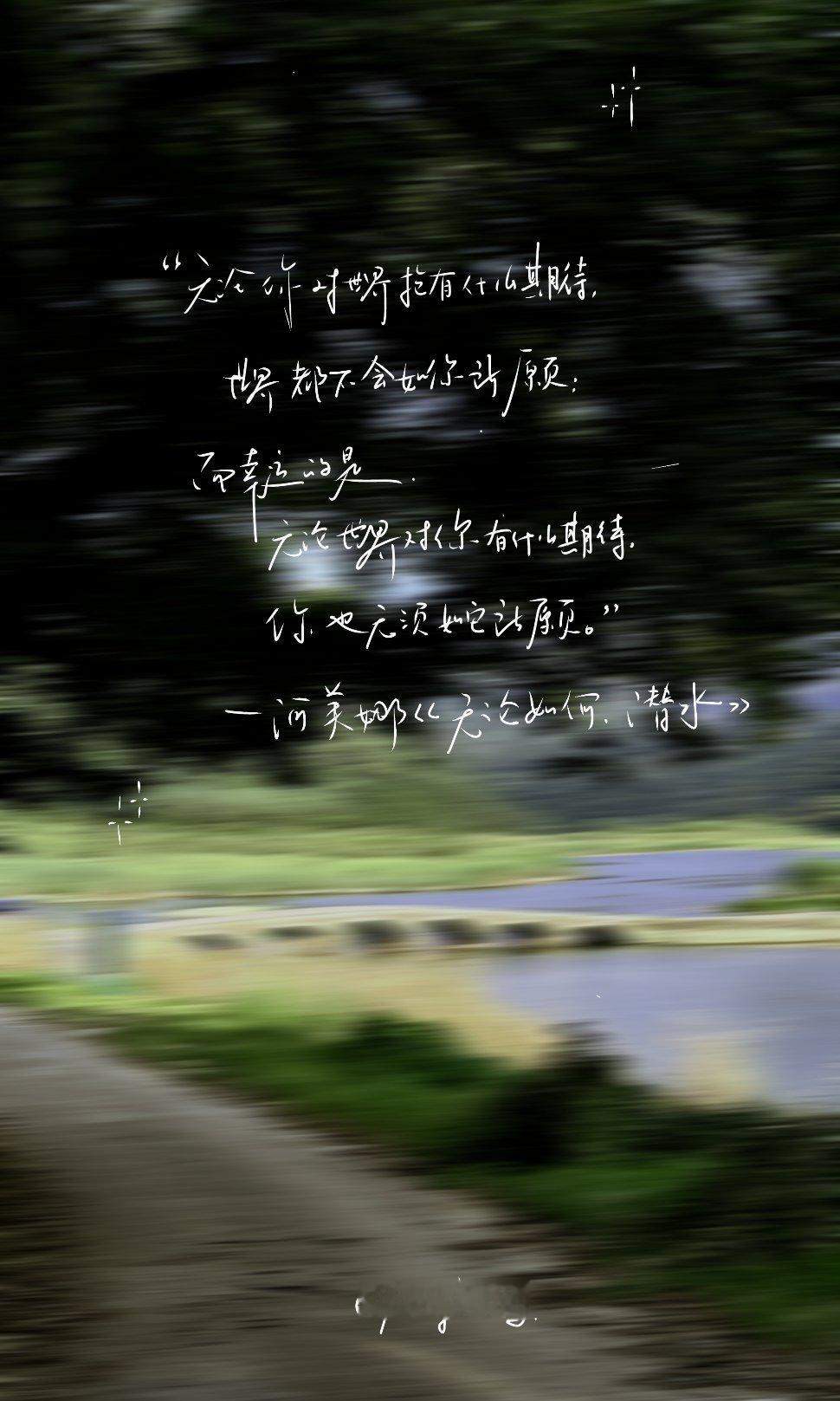 这世上哪条路真正开满了鲜花？不过是行路的人，为曾经的向往镀上金边。而真正珍贵的东