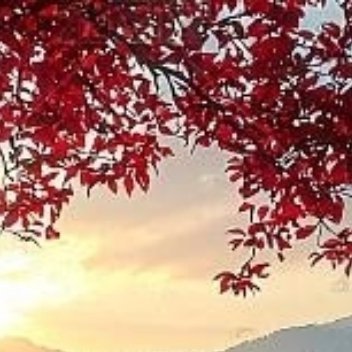 养养 人这一生，最该取悦的人，从来只有自己。我们从小到大，总在习惯性迎合外界。做