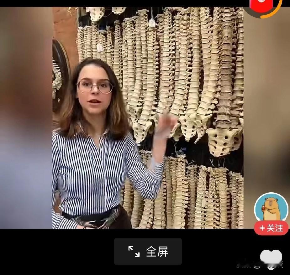 看到这样的画面真是很惊悚。这里挂的一条条并不是塑料做成的人体骨骼，而是从人身上薅