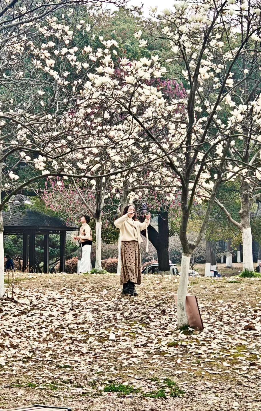 轮流养老，撕开多少家庭的遮羞布：有人尽责，有人装傻
 
多子女家庭一提养老，最常