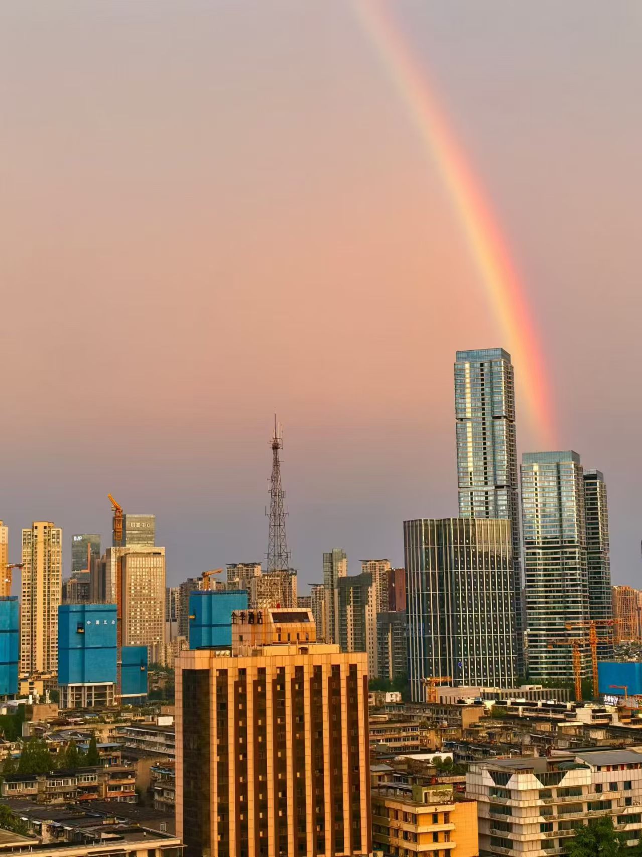 成都傍晚雨后出现彩虹今天成都的彩虹很漂亮！大家都看到了吗？