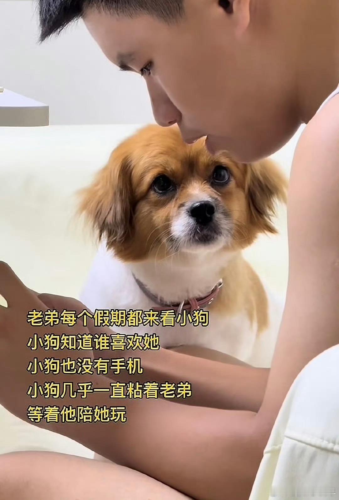 两个月前拔完智齿后，最近感觉张嘴会有弹响，刚才烦躁到来看牙医，医生是个老头，非常