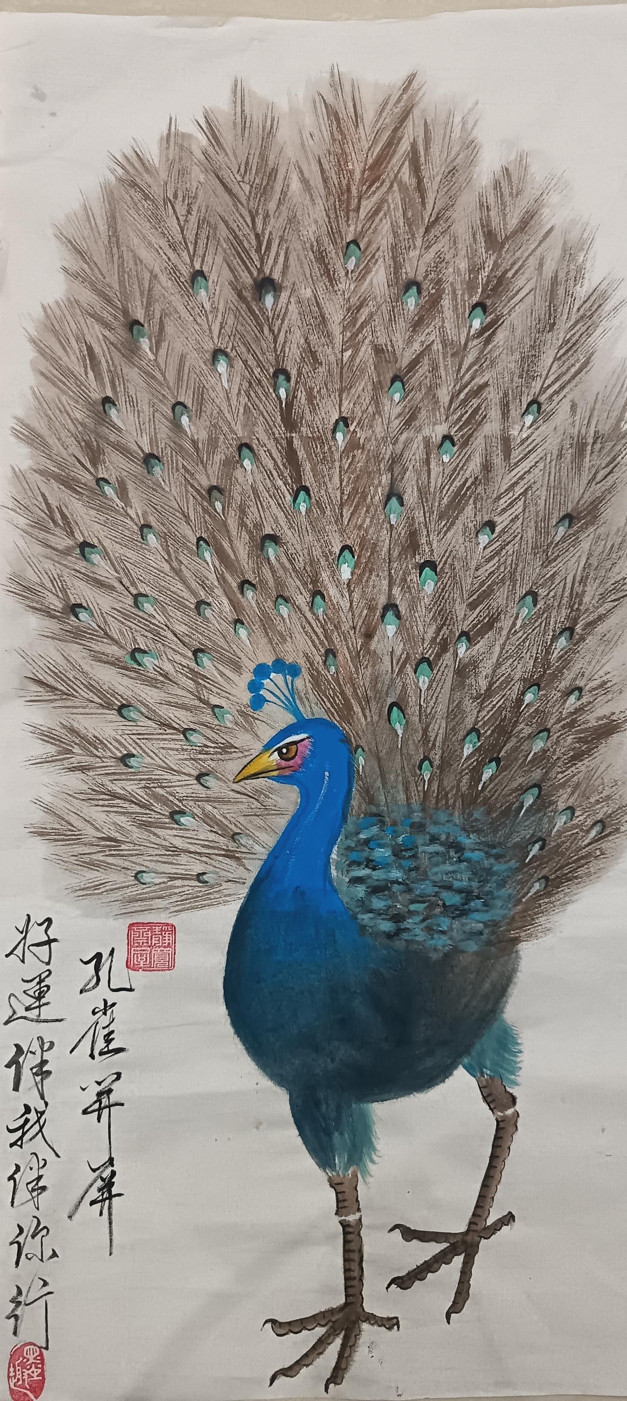 孔雀開屏  好運伴我伴你行