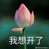 棉葡热聊汽车