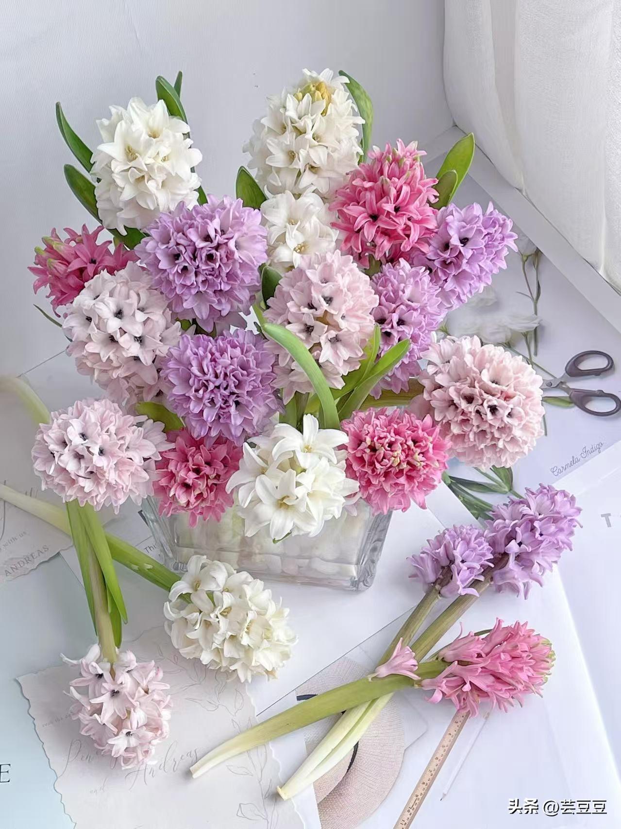 女性健康的底色是什么？
 
我认为：女性健康的底色，是身体与情绪的双向舒展、彼此