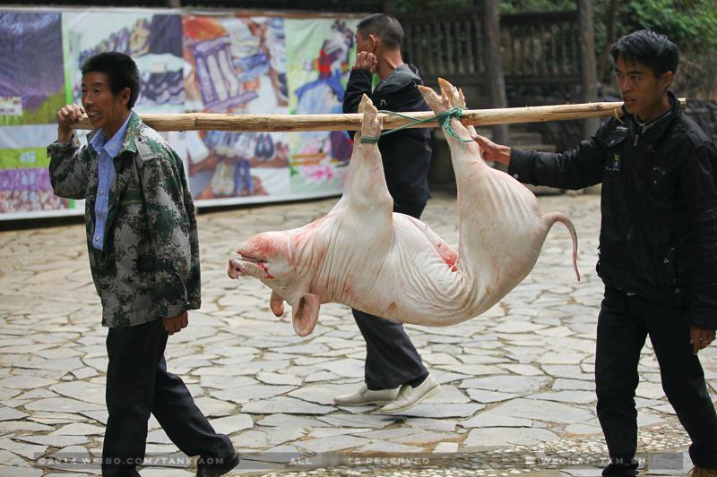 我终于用绳子豖住了豕，真费劲！这豖豕字怎么读，啥含义？