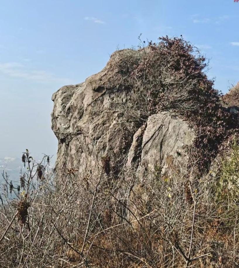🪨岩石把岁月的褶皱刻进肌理，枯藤如沉默的诗行攀附，蓝天作幕，山野把孤独与坚韧，