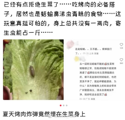 爱吃生菜的人天塌了 喂！你让我怎么搞...我真的其他青菜可以不吃生菜我是真的爱啊