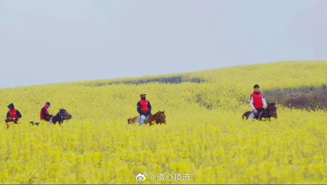 评论罗伯特梦想旅居云南云南就是这样一个地方，它能让人忘却尘世的喧嚣，找到内心的宁