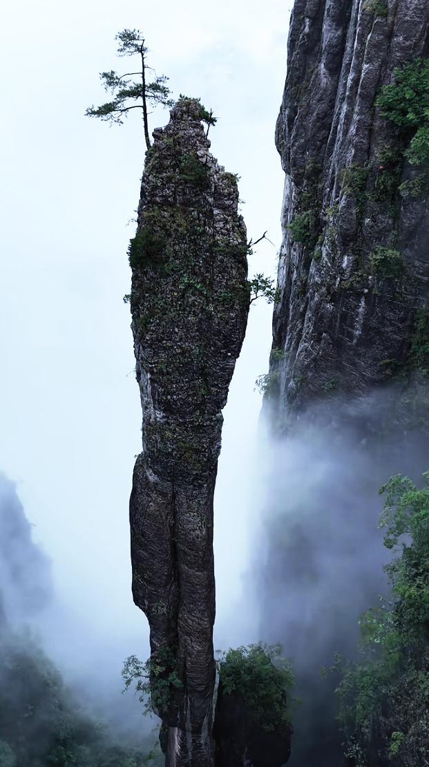 夏日钻进四川大山深处，那可真是发现了宝藏！这里的奇石多到让人眼花缭乱。
有一块石
