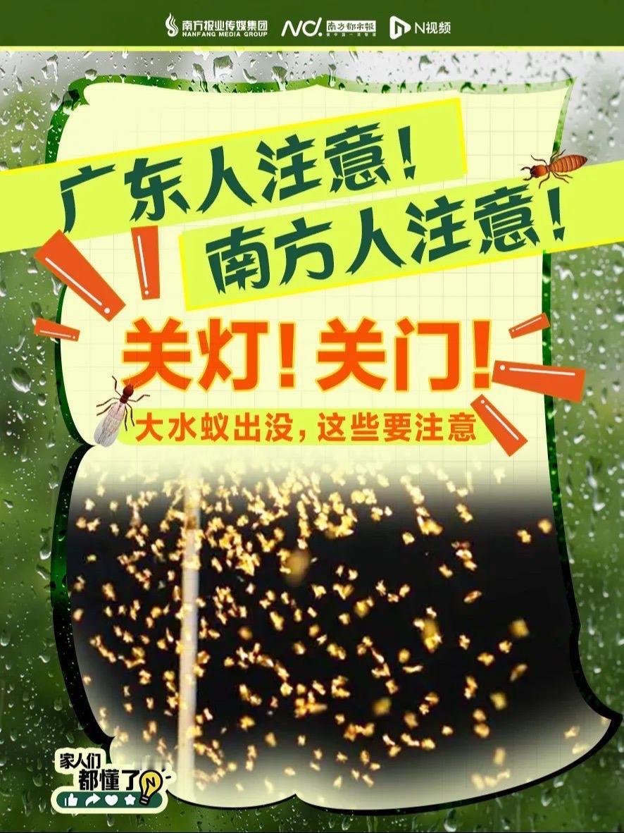 头皮发麻！不少广东人家里，突现大量飞虫，紧急提醒 ❗️❗️ 南方夏天雨后密集出没
