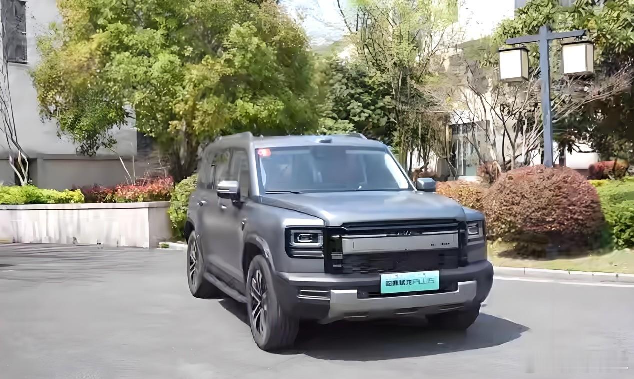 28项升级，新猛龙PLUS激光雷达全+冰箱全配齐，预售价18.98万起28项技术