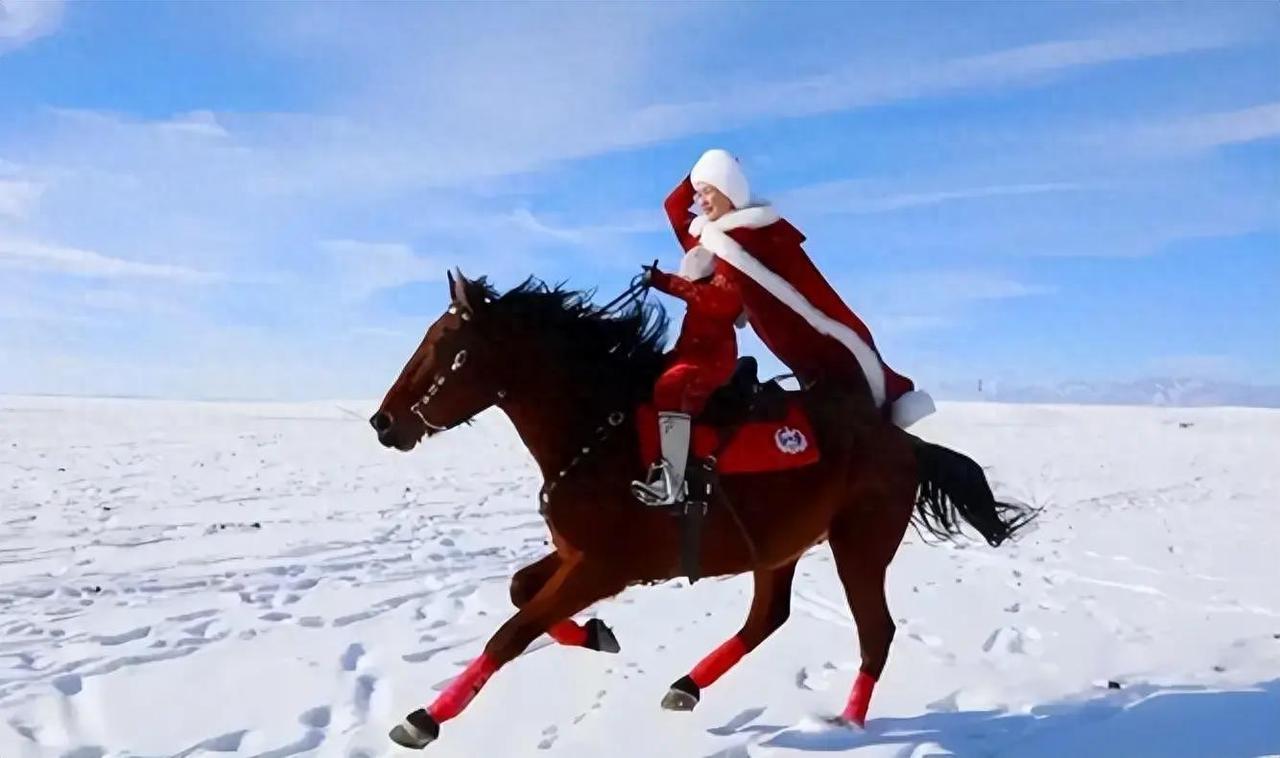 贺娇龙获得的荣誉和肯定逐渐增多，这是她应该得到的，也是绝大多数网民的期望。网民希