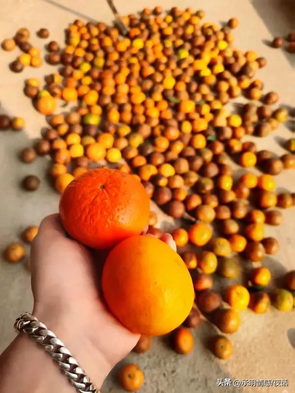 没想到吧？活明白这事儿，真不是年纪大就行！
       有人三四十岁还稀里糊涂