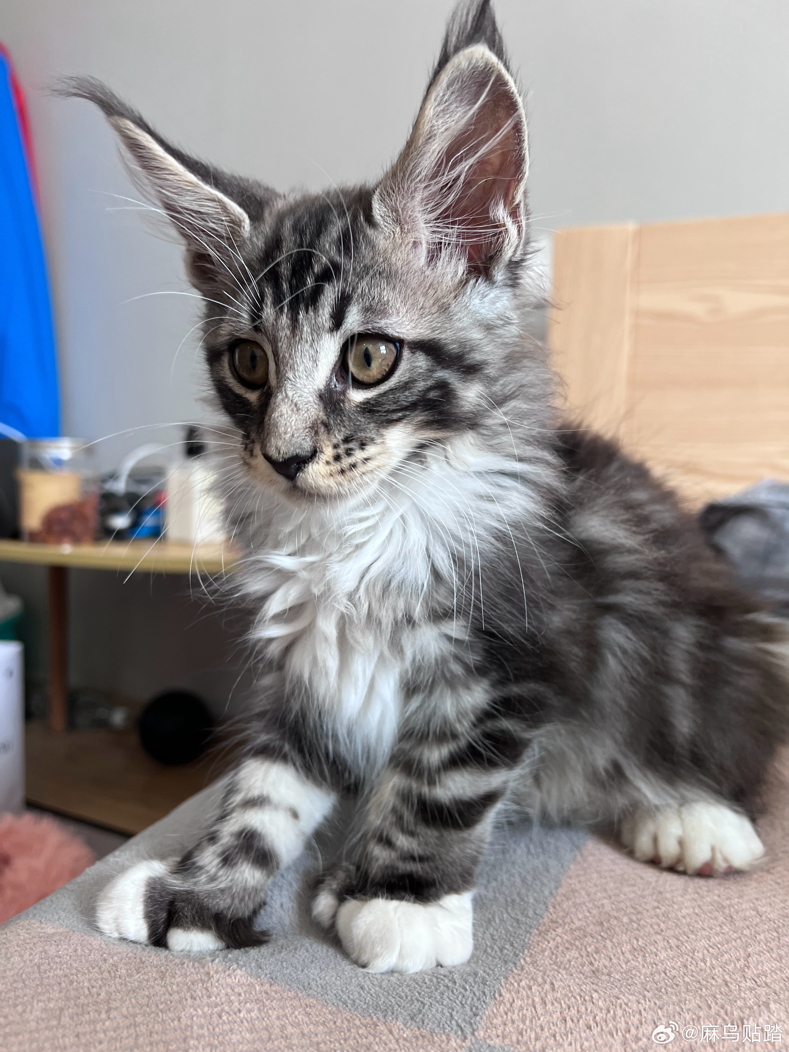 长大了，眼神也不清澈了[费解] ​​​