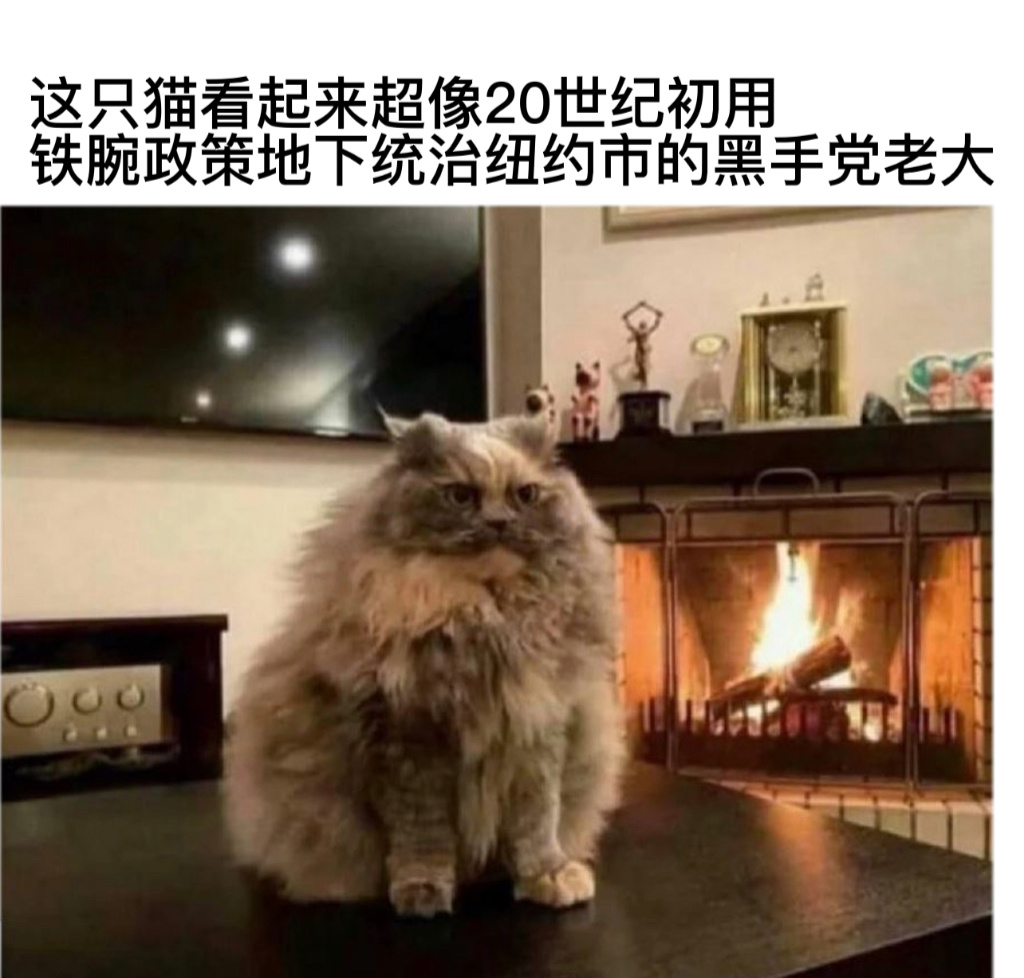 教父#今日memes# //#v笑年度大赏# ​​​