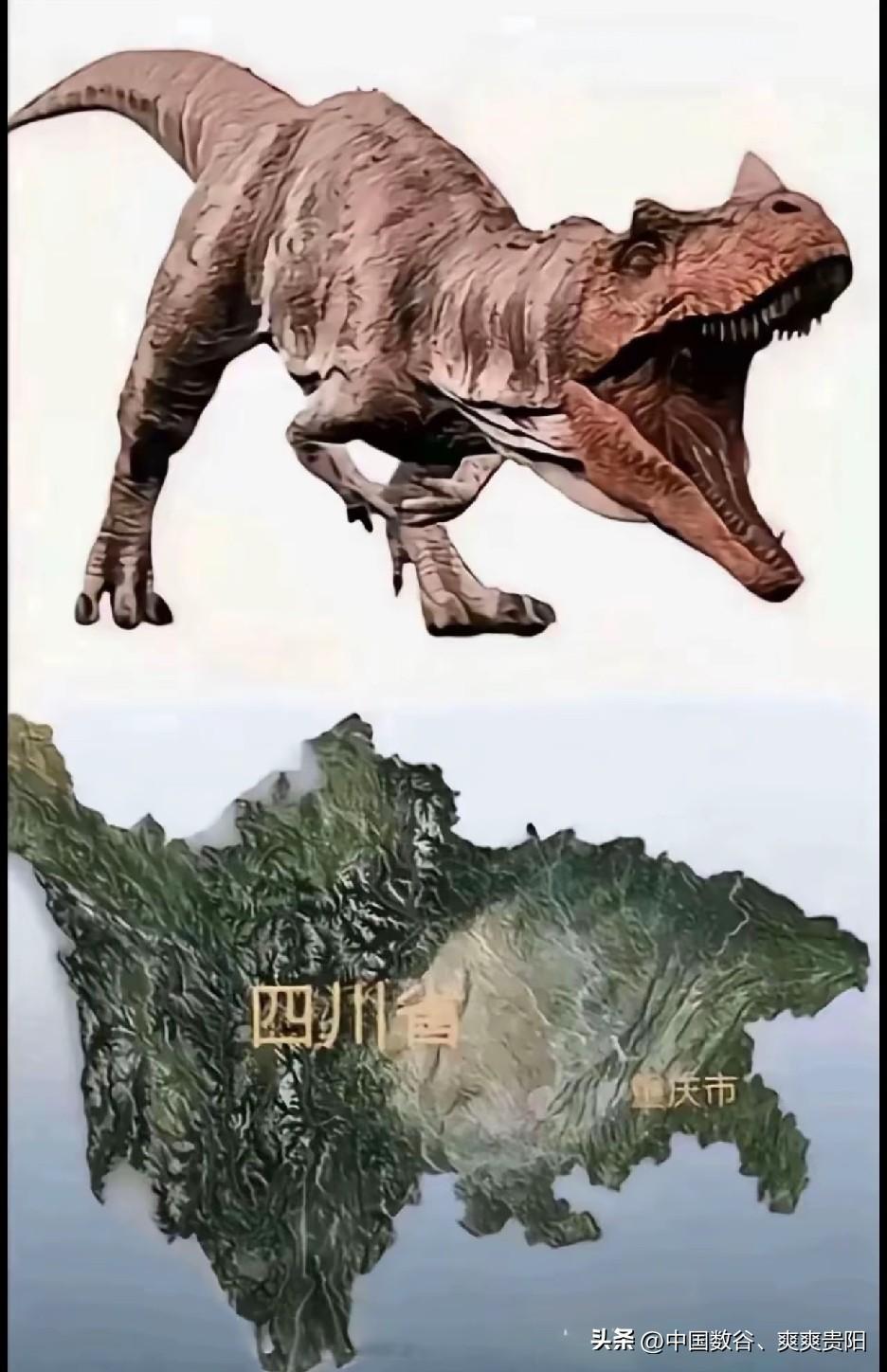这是四川跟重庆地图吗


看这图上显示四川、重庆，不知道啥意思，看起来像暴龙！代