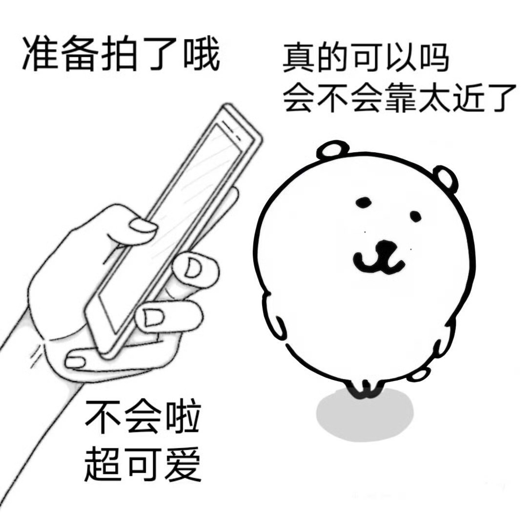 樊振东 樊振东在拍照 