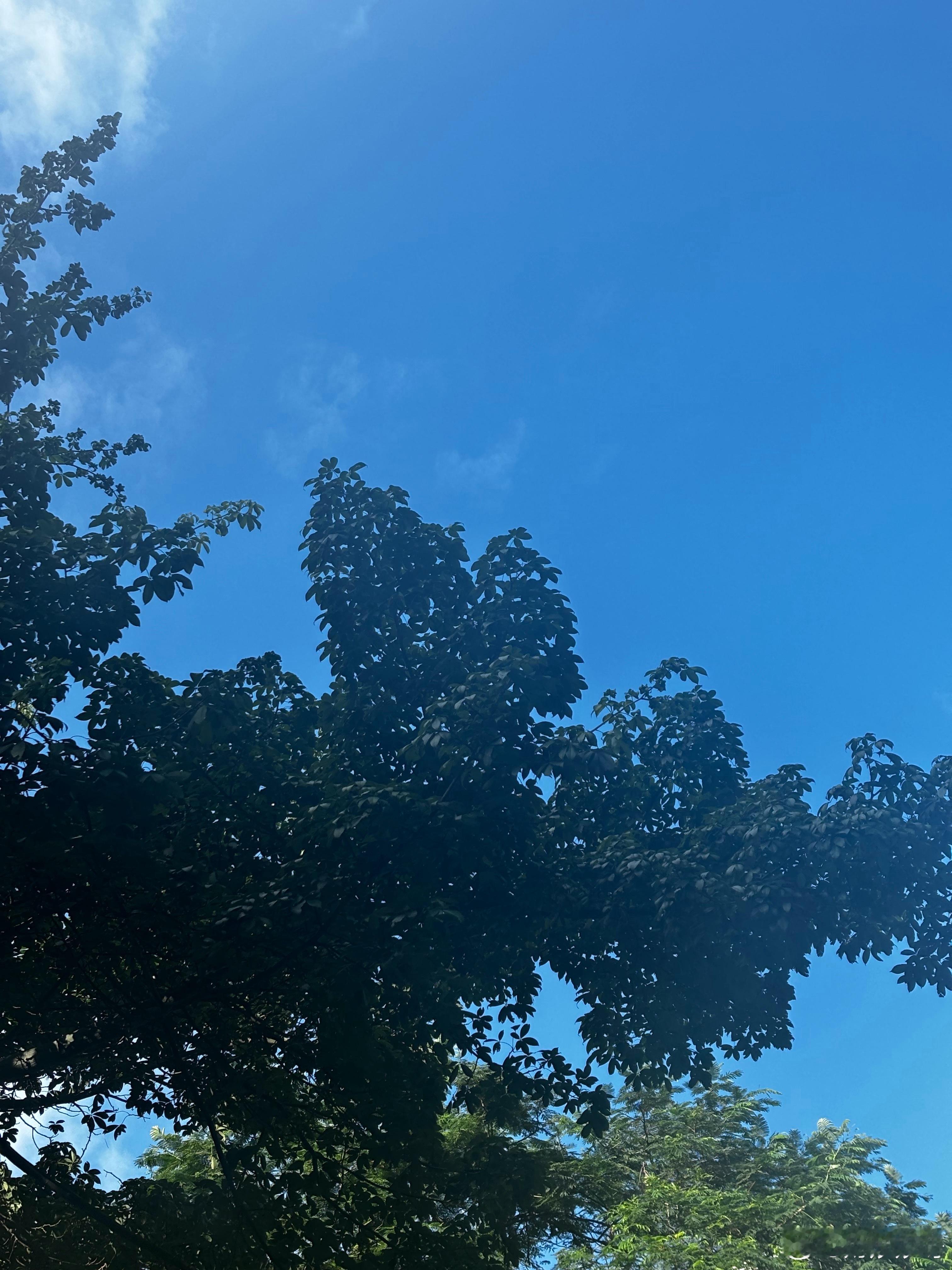 好久不见的蓝色天空。最近断续下雨，晚上回家的时候都感觉很凉快，就是秋天的感觉。很