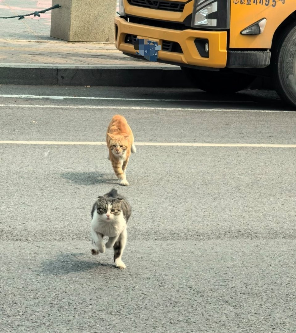 一个追，一个逃，脑补一出古偶大剧……