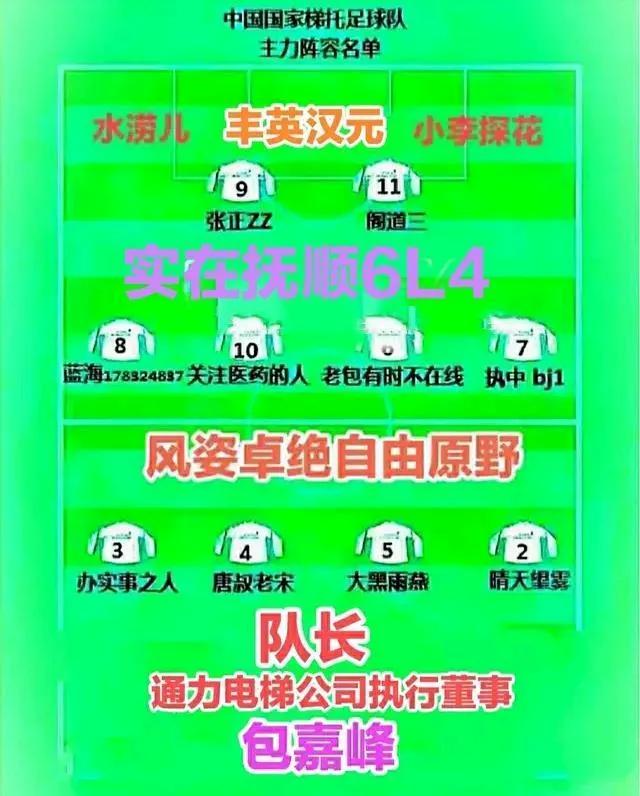加装电梯造就了一批梯托，不知道这些梯托受谁的雇佣，为什么政府的旧改小区民生工程没