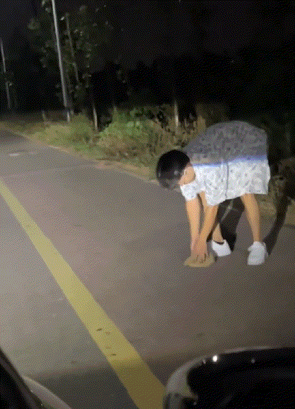刺猬:听我说谢谢你！