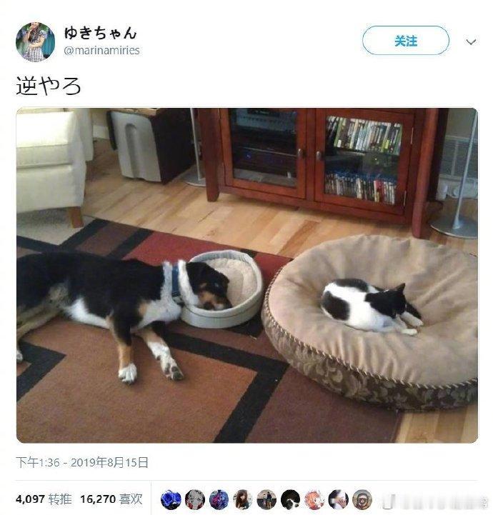 狗子：我为这个家牺牲了太多