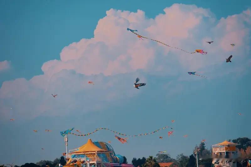 我们就像风筝
一放一松间
线的那头握在平台手中

当我累了 乏了
及时的奖励是那