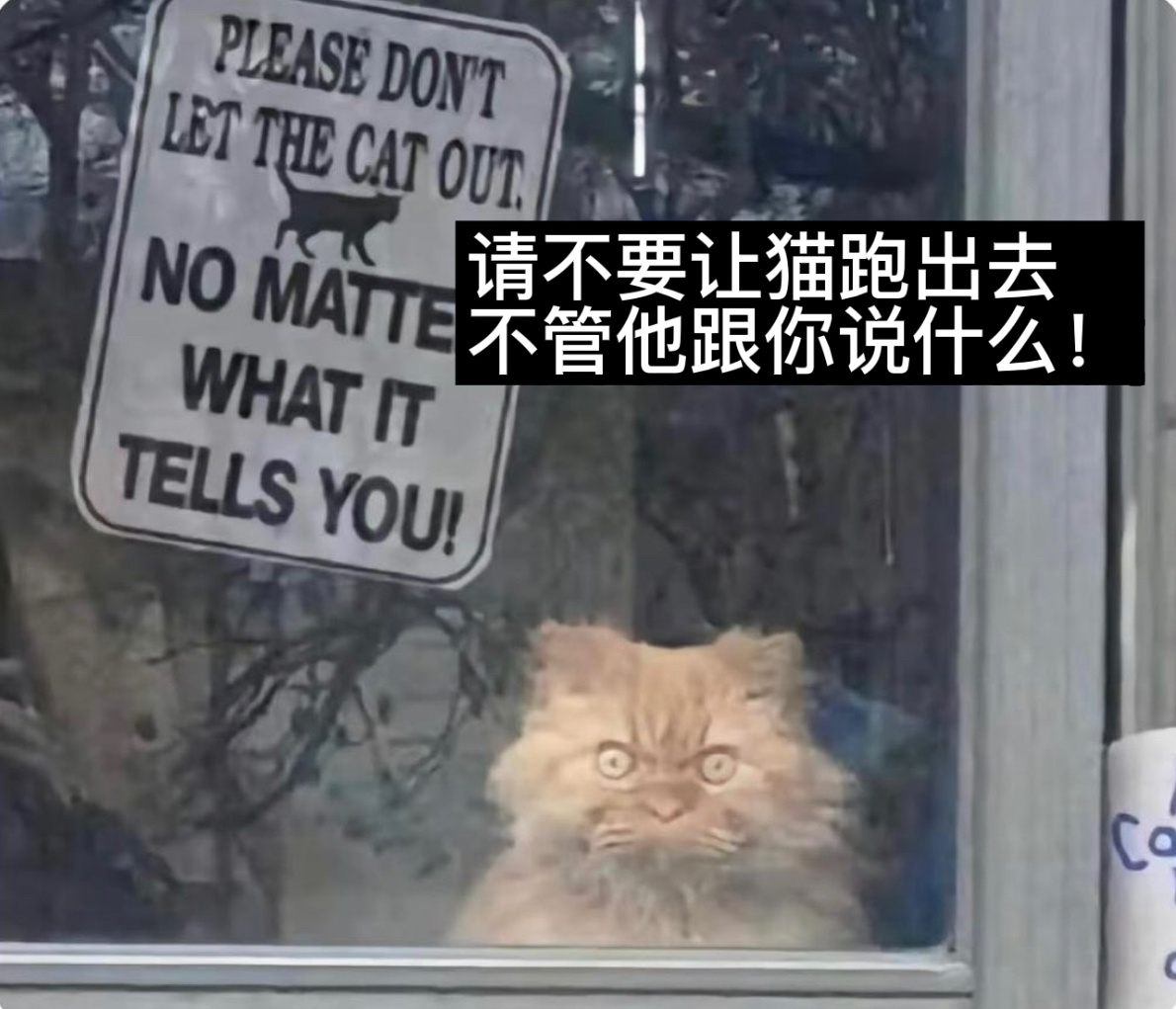 后果自负#今日memes# //#新年快乐漫游指南# //#转发接龙开新年# ​