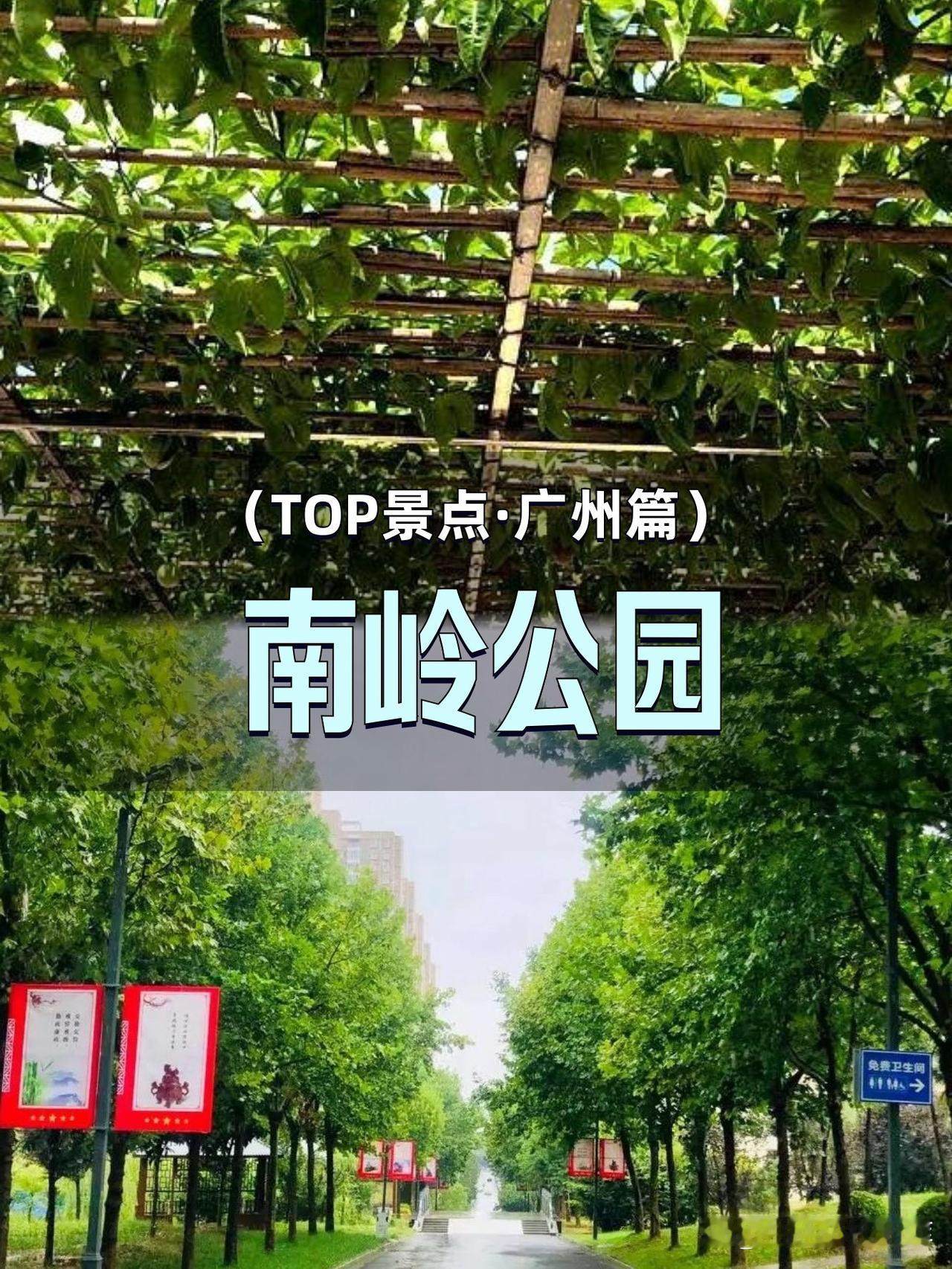 南岭公园｜广州老牌天然氧吧の隐藏玩法🌿

谁说老牌公园只能散步？本地人私藏的秘