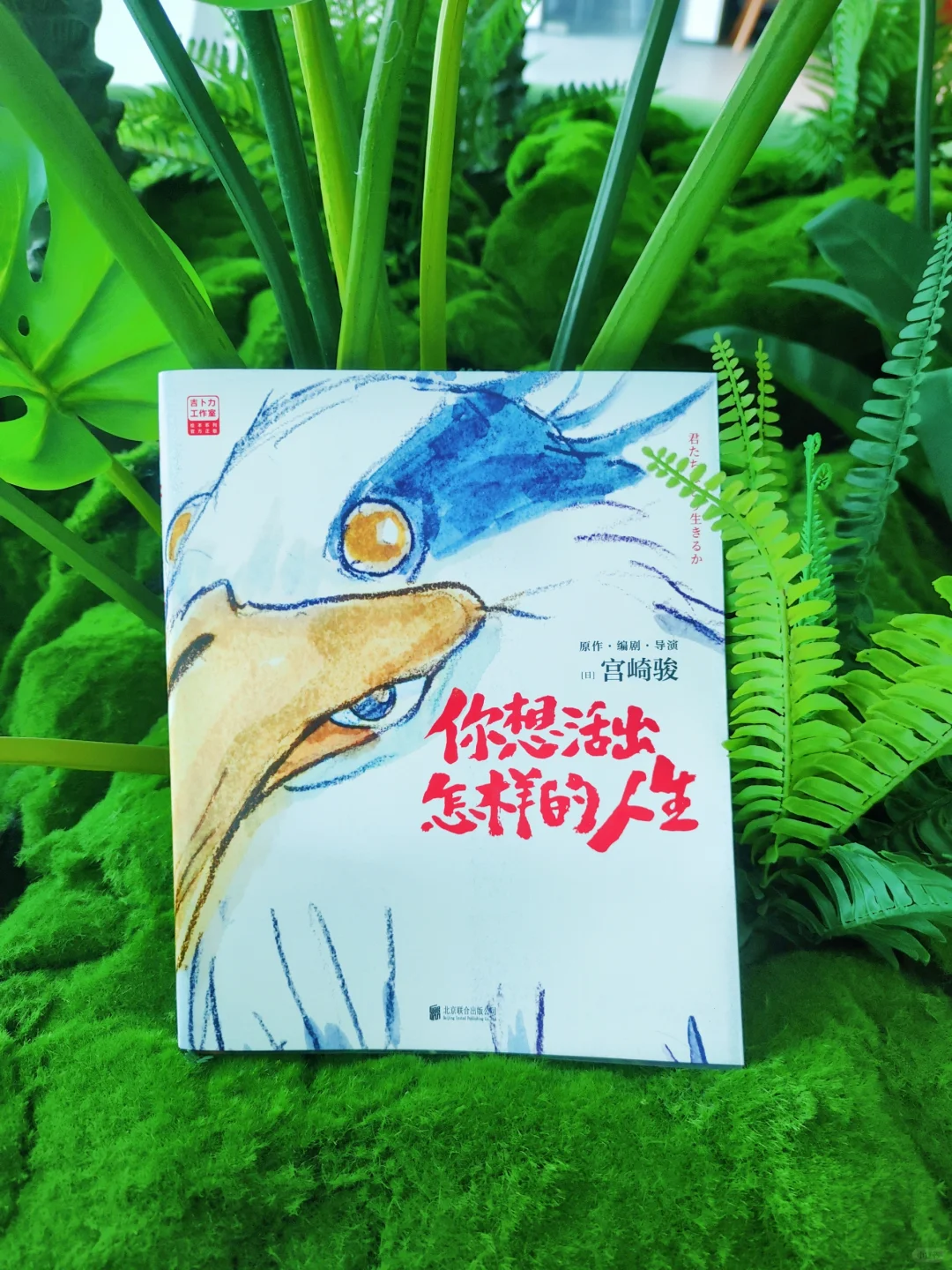 不愧是宫崎骏！让我大彻大悟❗