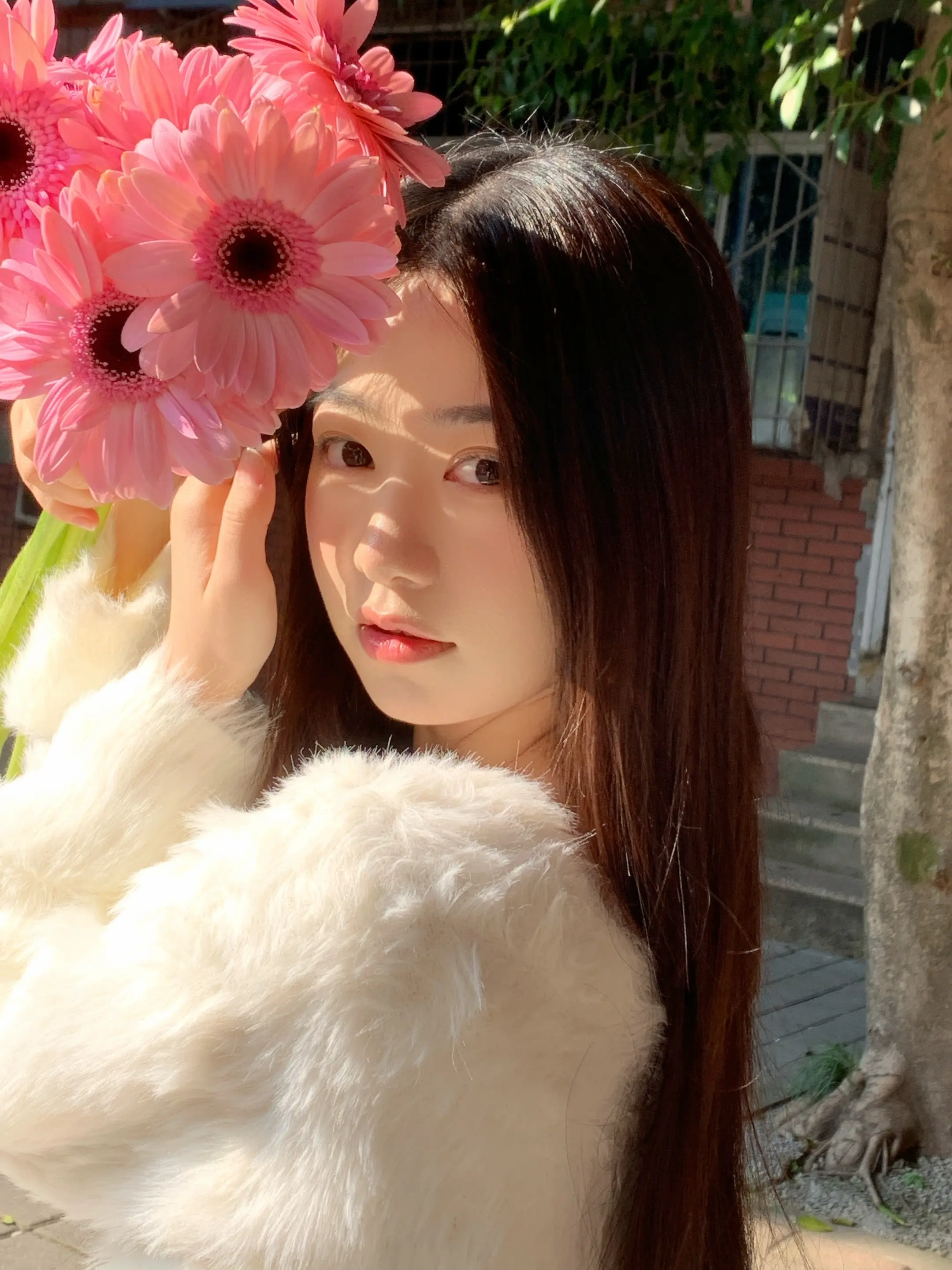 为了感受阳光～