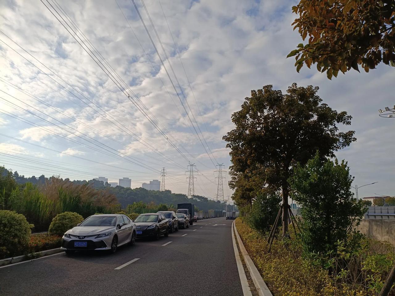 说真的，谁不想活得明明白白呢？
但在这复杂的世界里，太明白了反而心累。
就像我，