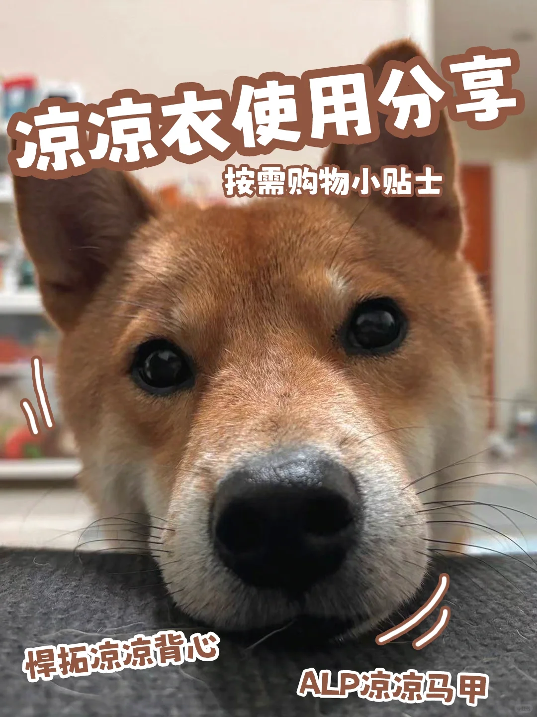 详细使用分享｜还有人觉得凉凉衣是智商税？