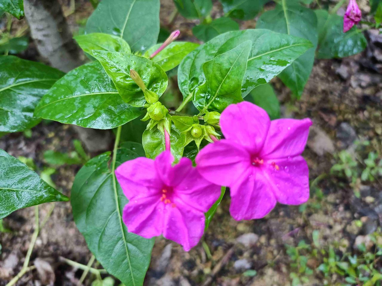 我的今日状态：😁轻松愉快
我这里的天气：🌤️多云