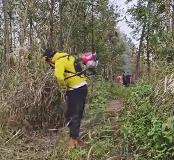 运动流汗怎么更值钱？贵州男子改除草减脂走红全网
 2026年3月24日，清晨六点