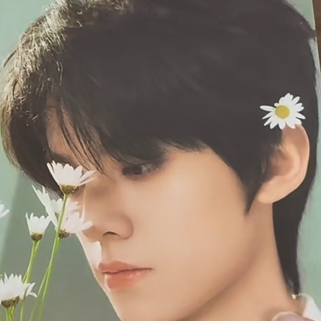 和妈咪一样头戴小花🥺左航骋风踏浪逐炽夏