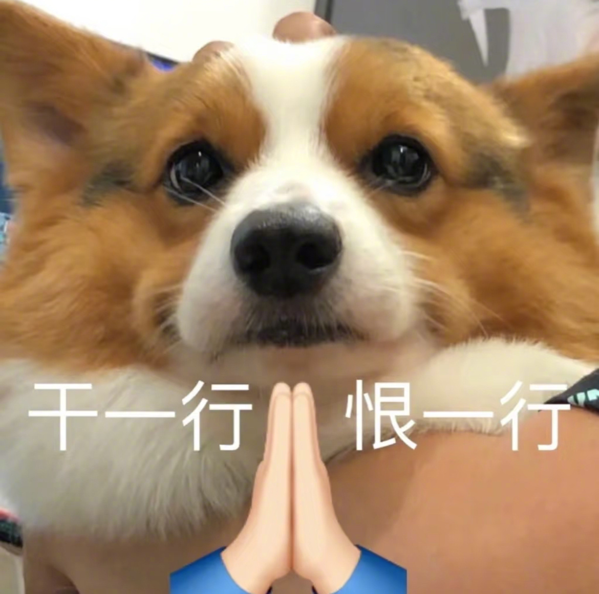 上班不断上上上上到厌倦～ ​​​