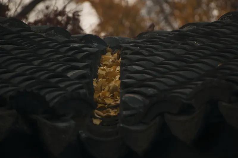 馨漪婉风的这首《复年》简直绝了！“木叶枯黄卧旧檐”，瞬间将深秋的萧瑟之感渲染到极